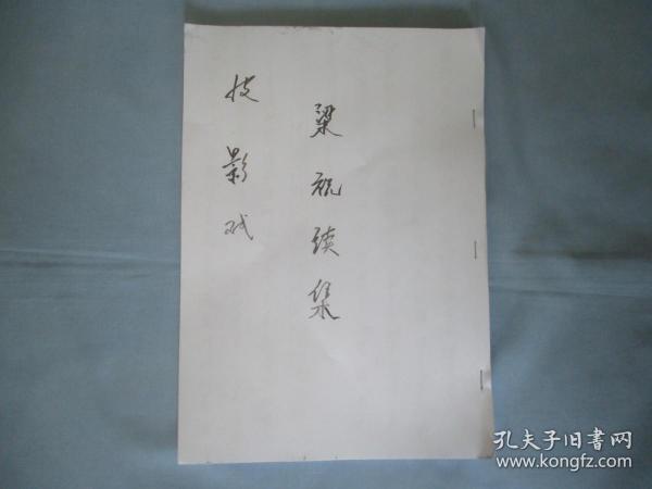 粱祝续集-皮影戏【手写】一万九千多字