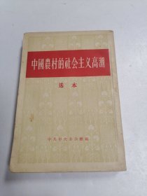 中国农村的社会主义高潮 选本【 纲领性的文件 英文版文版平装本 】