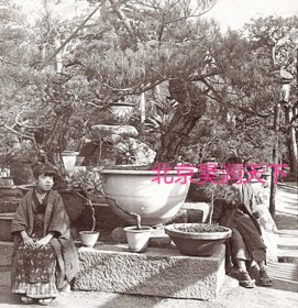 日本大坂的公共花园1904年