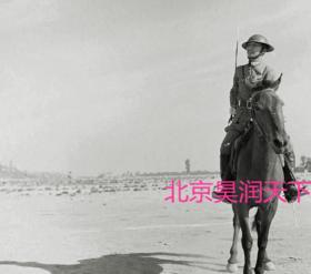 1941年驻守在陕西潼关的国军骑兵