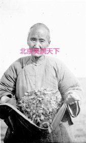 中国饥荒难民的“家常菜”是杂草 1922年