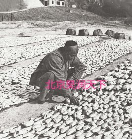 香港人在岸边晒鱼 1902年
