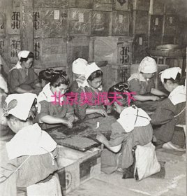 日本人制葆，挑出茎 1902年