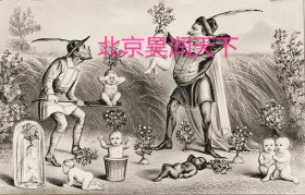 美国石版画：物种起源 1874年