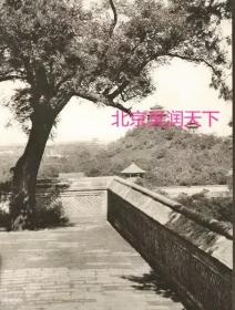 1927年北京景山