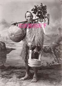 日本农夫 1890年