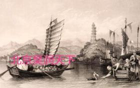1800年代镇江鱼鹰捕鱼