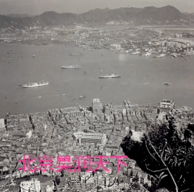 1955年香港鸟瞰