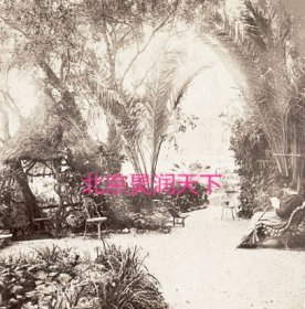 法国南部芒通旧花园景色 1898年
