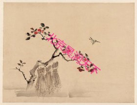 日本画：鸟与果树