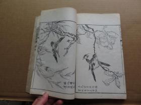 清光绪白纸木刻本   《芥子园画传》初级、二集、三集 共12册一套全 尺寸：24.9*15.1（见说明）