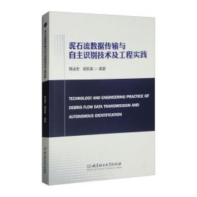 泥石流数据传输与自主识别技术及工程实践