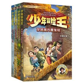 少年冒险王 升级版 第一季·戈壁篇（套装共4册）