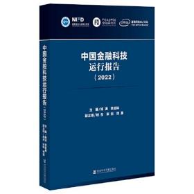 中国金融科技运行报告（2022）