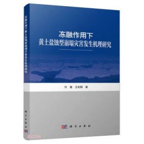 冻融作用下黄土盐蚀型崩塌灾害发生机理研究