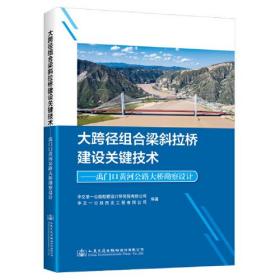 大跨径组合梁斜拉桥建设关键技术——禹门口黄河公路大桥勘察设计