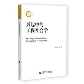 兴起中的工程社会学