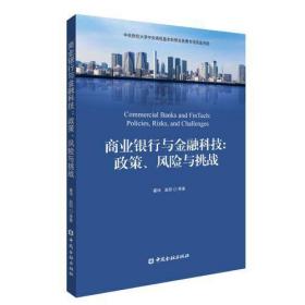 商业银行与金融科技:政策、风险与挑战