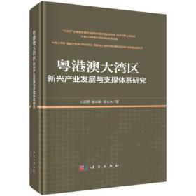 粤港澳大湾区新兴产业发展与支撑体系研究