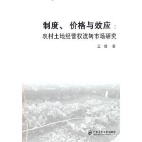 制度、价格与效应：农村土地经营权流转市场研究