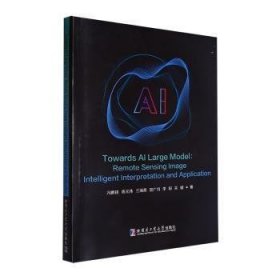 面向AI大模型:遥感影像智能解译与应用:remote sensing image intelligent interpretation and application