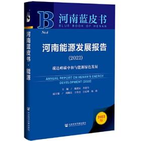 河南蓝皮书：河南能源发展报告（2022）