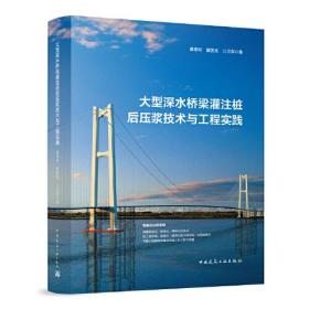大型深水桥梁灌注桩后压浆技术与工程实践（