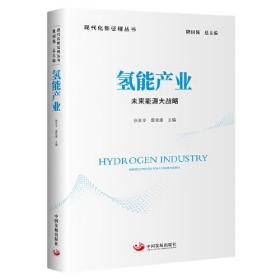 氢能产业:未来能源大战略:grand strategy for future energy