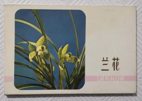 明信片：兰花 （全11枚） 1978年1版1印