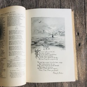 诗歌新选   New Library of Poetry & Song 2卷本 1895