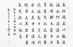【保真销售】河南省书协会员、知名书法家张兴义：曹操《观沧海》