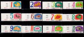 ［ZH-05］上海市公交公司月票缴款证34.00元/翔敦线1994年12全新套票带副券（2513/各种海洋生物图案）/背无揭薄，8.8X3.2厘米。