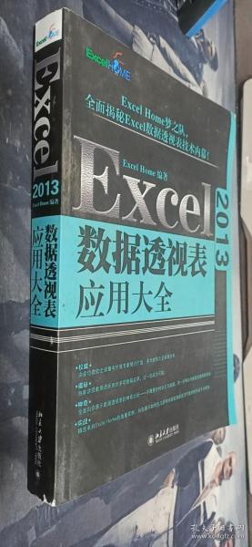 Excel 2013数据透视表应用大全