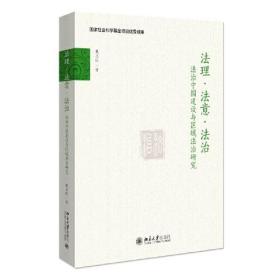 法理·法意·法治：法治中国建设与区域法治研究北京大学出版社戴晓明