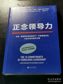 正念领导力（经纬中国创始合伙人邵亦波作序！一本从心出发的领导力之书！）