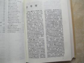 中国语言学大辞典