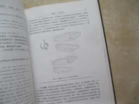 中国动物志.昆虫纲.第七卷.鳞翅目 祝蛾科