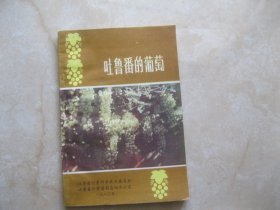 吐鲁番的葡萄