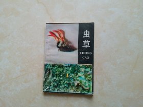 蟲(chóng)草