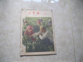 民族画报1963年第10期