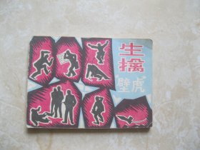 连环画 生擒壁虎