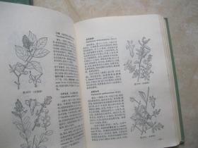 中国高等植物图鉴