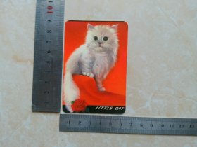 1984年历片 猫