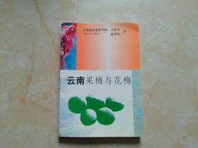 云南果梅与花梅