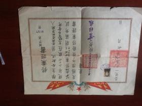 1951年，北京市私立德全职业补习学校修业证书（盖北京市人民政府交教局印）38×30厘米