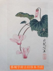 【欧洲回流】荣宝斋 木版水印 《现代国画选辑》单页 于非闇《杏花》37X25CM