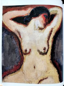 《法国野兽派画家》JEAN-LOUIS FERRIER: FAUVISMUS - DIE WILDEN IN PARIS （MATISSE - DERAIN - VLAMINCK - CAMOIN - MANGUIN - VAN DONGEN - FRIESZ - BRAQUE - DUFY)