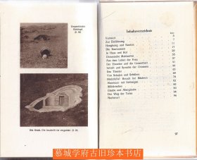 1930年插图版《今昔之广东》Oskar Frohnmeyer KWANGTUNG (Kanton) (Guangzhou) - China Erlebnisse 1930