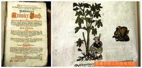 【1737/1770年版】素文猪皮书封/插图版《草药大全】Herrn Adami Loniceri - Vollständiges Kräuter-Buch / und Künstliche Conterfeyungen der Bäumen, Stauden, Hecken, Kräutern, Geträyde, Gewürtzen, u. mit eigentlicher