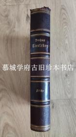 1891年版/皮装/三面书口大理石纹/57幅全页黑白、彩色凹版石印、木鱼插图本/德国动物描写名著《布莱曼讲动物世界/鱼类篇》BREHMS TIERLEBEN - FISCHE